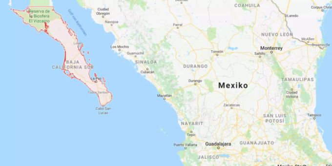 Das Zentrum des Erdbebens lag im Bundesstaat Baja California Sur. Das Zentrum des Erdbebens lag im Bundesstaat Baja California Sur.