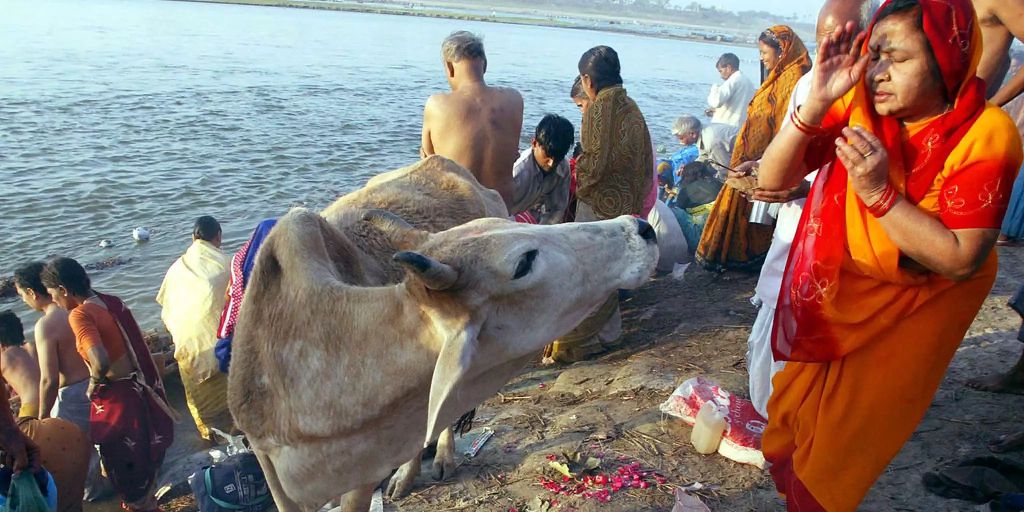 Indien Muslim Wegen Angeblichen Schmuggels Von Kuhen Getotet