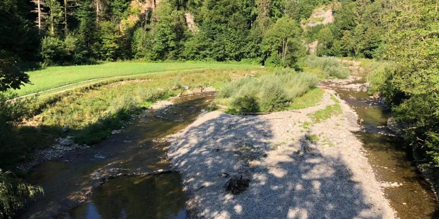 Die Schwarzwasser führt momentan besonders wenig Wasser.