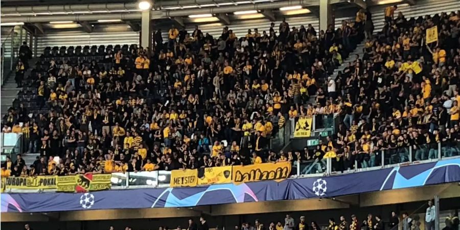 Fans von YB feiern im Stadion in Turin.