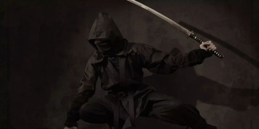 Ein Ninja macht eine Pose.