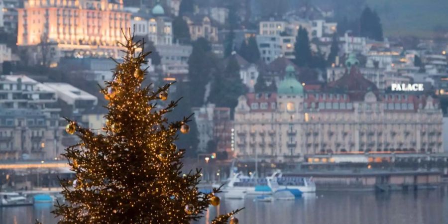 Der traditionelle Weihnachtsbaum auf dem Europaplatz vor dem KKL.