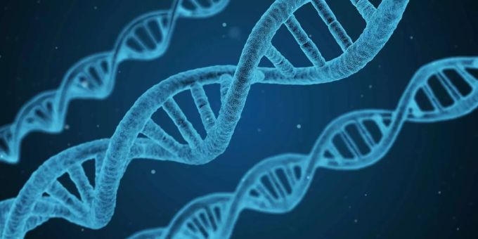Das indische Pharmaunternehmen Zydus Cadila hat den ersten weltweit zugelassenen DNA-Impfstoff hergestellt. desoxyribonukleinsäure