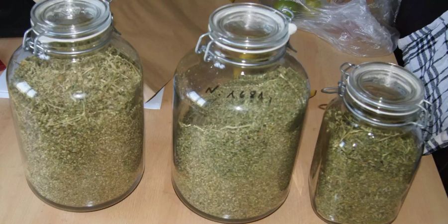 Die Polizei stellte das Hanfkraut sicher.