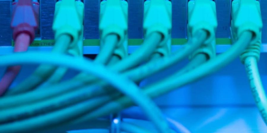 Netzwerkkabel in einem Serverraum