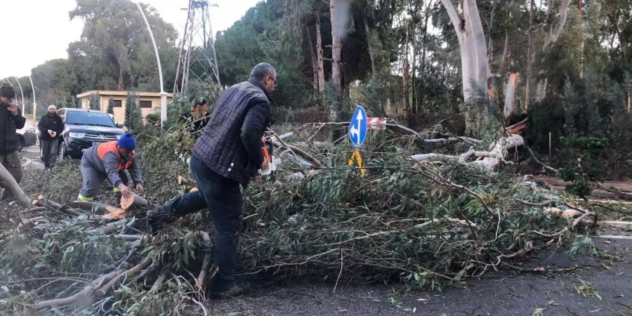 Äste liegen in Belek auf der Strasse.