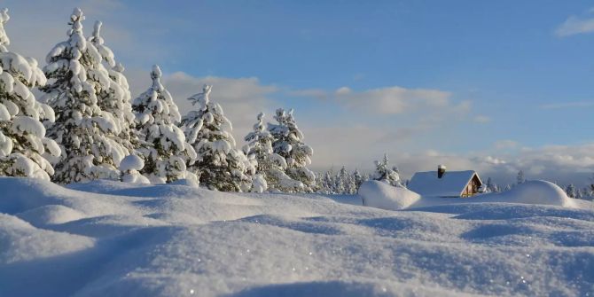 Schneelandschaft