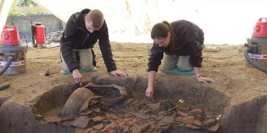 Im Kanton Aargau entdeckten Archäologen ein Dorf aus der mittleren Bronzezeit.