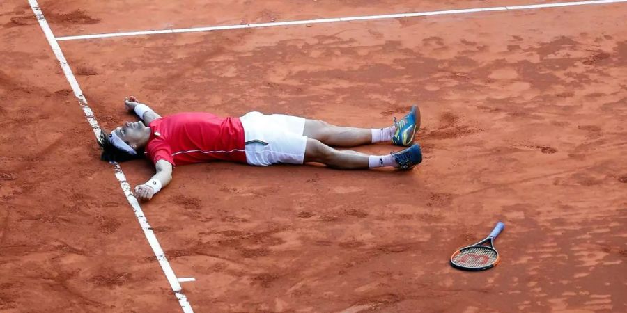 Das entscheidende Spiel gegen Philipp Kohlschreiber gewann David Ferrer nach fast fünf Stunden.