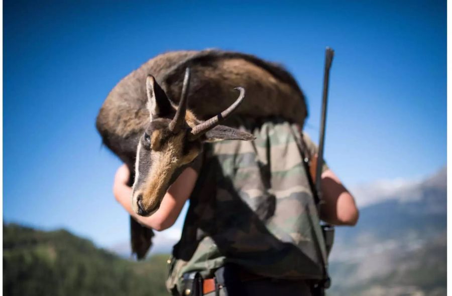 Der Kanton verkauft Lizenzen zu Hochjagd an ausländische Jäger.