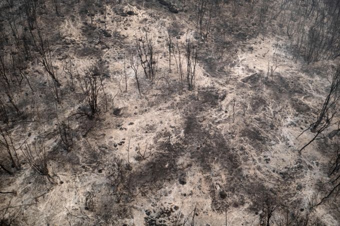 Verbrannte Wälder in Griechenland. Greece Wildfires