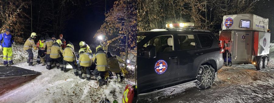 Das Pferd konnte stabilisiert und aus dem Hang geborgen werden.