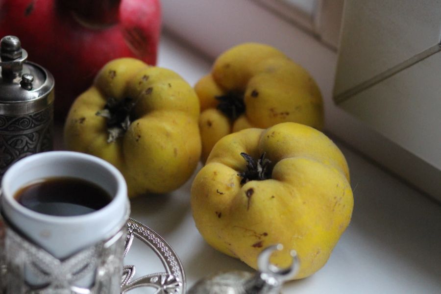 Tasse Kaffee Quitten Zierobst Granatapfel