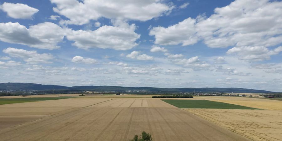 Neben Unwettern im Sommer machte auch die Trockenheit der Landwirtschaft in diesem Jahr zu schaffen. (Symbolbild)