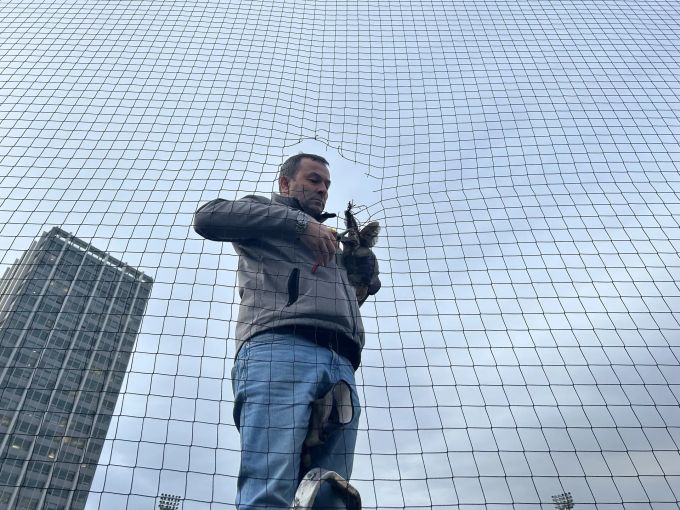 Um die Eule aus dem Tor des FC Winterthur zu befreien, musste ein Loch ins Netz geschnitten werden. fc winterthur