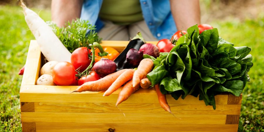 Bio-Gemüse ist gesund und enthält keine Schadstoffe.