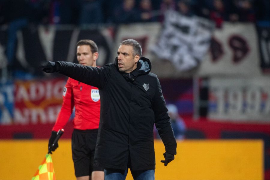 Fabio Celestini FC Basel