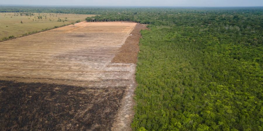 Das Luftbild zeigt eine verbrannte und abgeholzte Fläche im brasilianischen Amazonas-Gebiet.