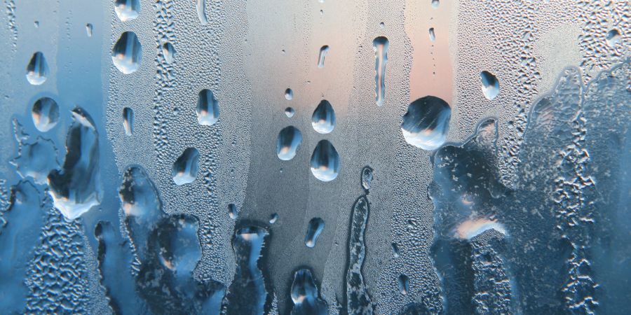 Häufiges Kondenswasser an den Fenstern ist ein klares Zeichen, dass Sie in Ihrem Zuhause ein Problem mit Feuchtigkeit haben.