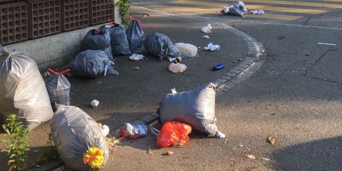 Zu früh bereitgestellte Abfallsäcke sind für Tiere ein gefundenes Fressen. Abfallsäcke auf der Strasse.
