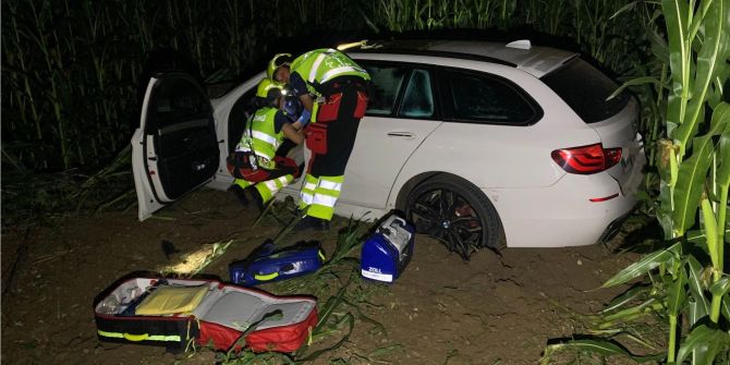 Auto durchbricht Wildschutzzaun