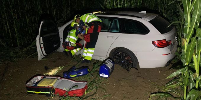 A1 bei Kestenholz SO - Autofahrerin (39) nach Selbstunfall im Spital