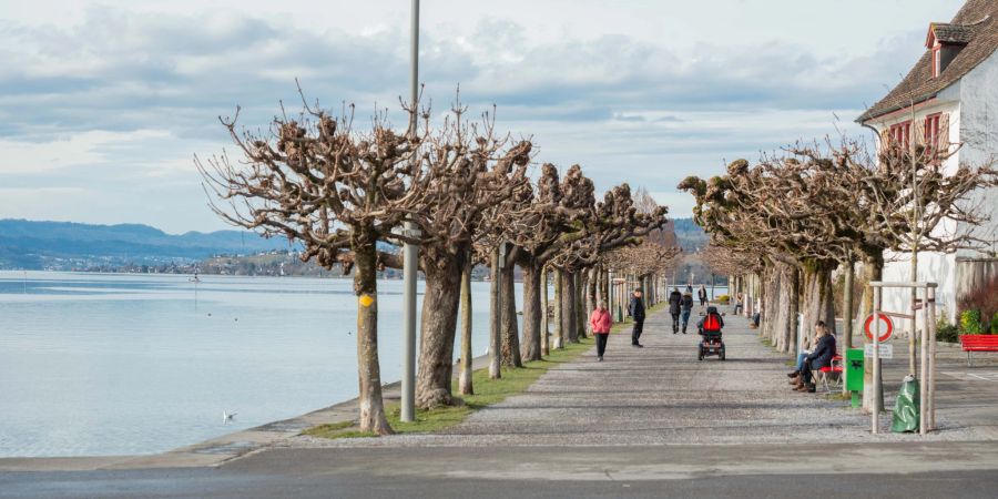Die Bühlerallee am See Quai in Rapperswil-Jona.