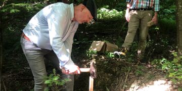 Wald Patenschaft