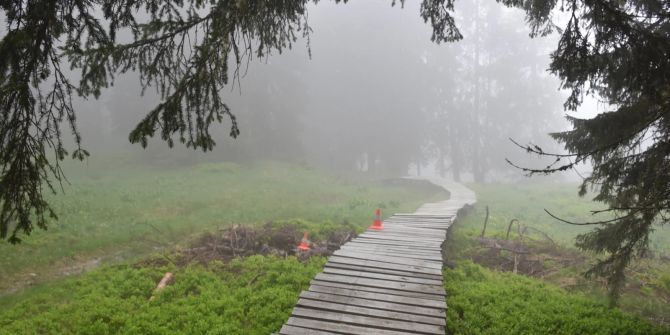 Laax GR: Mountainbiker bei Sturz schwer verletzt