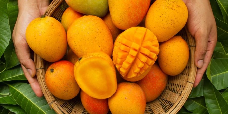 Weltweit gibt es mehr als 2.000 verschiedene Mangosorten.