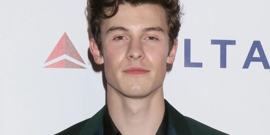 shawn mendes