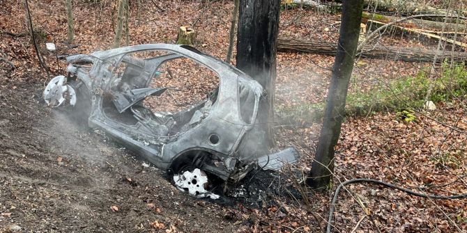 Diessenhofen: Autobrand nach Selbstunfall
