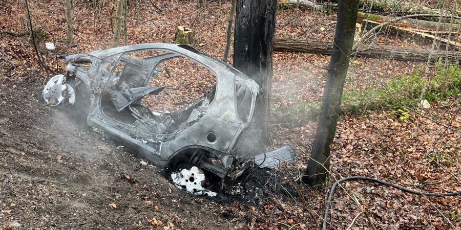 Diessenhofen: Autobrand nach Selbstunfall