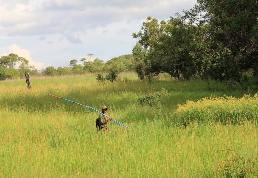 Projekt «Kariba-Waldschutz»