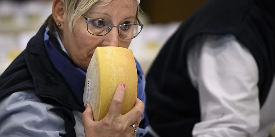 Eine Jurorin testete am Donnerstag in Le Châble VS einen Käse anlässlich der Vergabe der «Swiss Cheese Awards». (Archivbild)