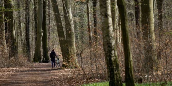 Wald Frau spazieren