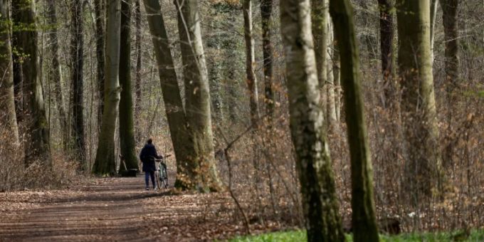Eine Frau spaziert im Wald. (Symbolbild) Wald Frau spazieren