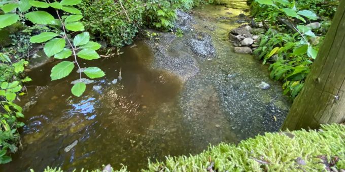 Verschmutztes Wasser in Baar ZG. Verschmutztes Wasser Baar
