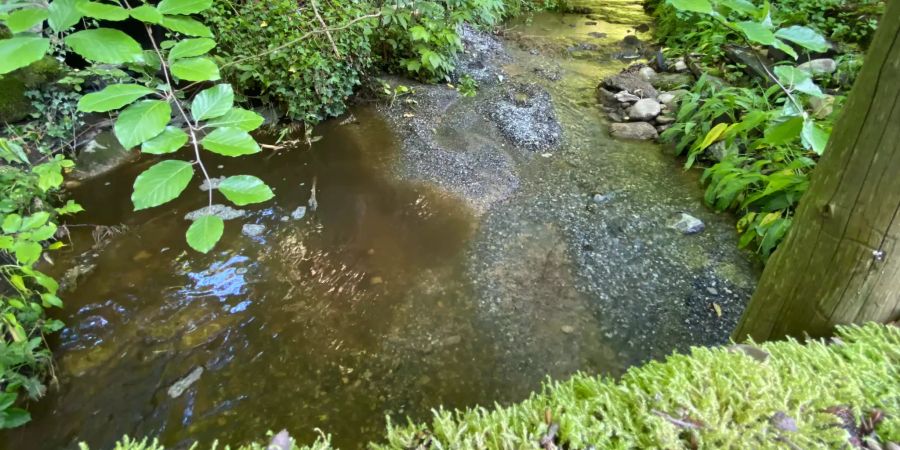 Verschmutztes Wasser Baar