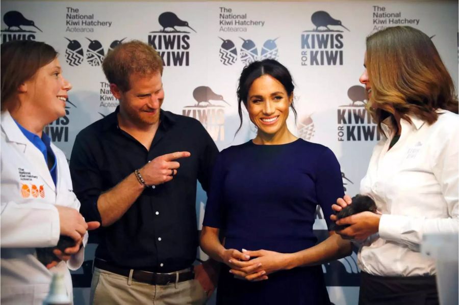 Meghan Markle und Prinz Harry strahlen am 31. Oktober 2018 in Rotorua, Neuseeland, um die Wette.