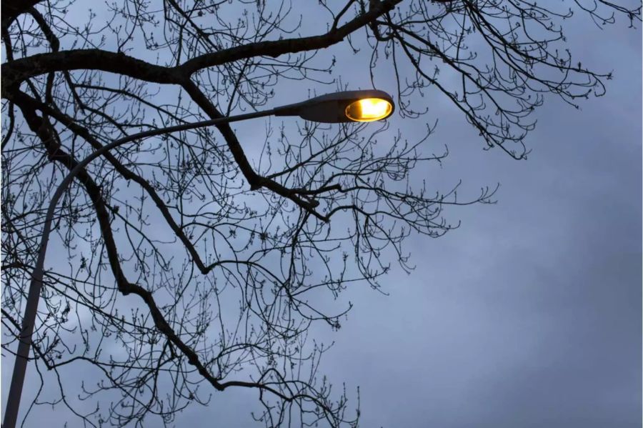 Strassenlaterne unter einem Baum während der Dämmerung - Keystone