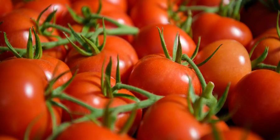 Tomaten