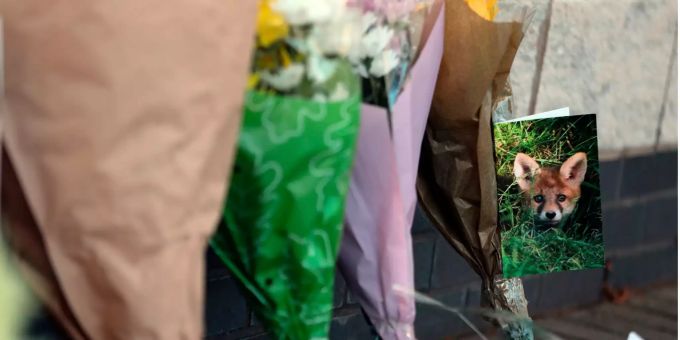 Blumen und eine Karte mit dem Foto eines Fuchses sind vor dem Leicester City Football Club zu sehen. Blumen und eine Karte mit dem Foto eines Fuchses sind vor dem Leicester City Football Club zu sehen.