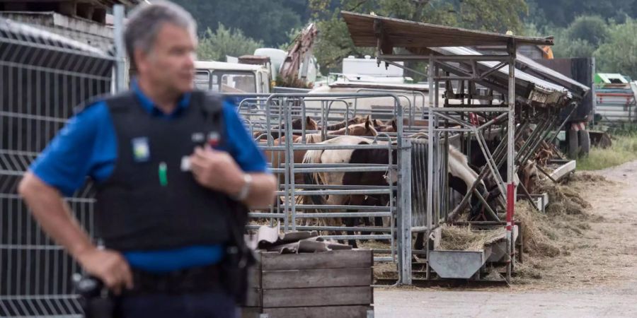 Der «Fall Hefenhofen» TG hat die St. Galler Regierung veranlasst, die Situation des Tierschutzes im Kanton zu kontrollieren.