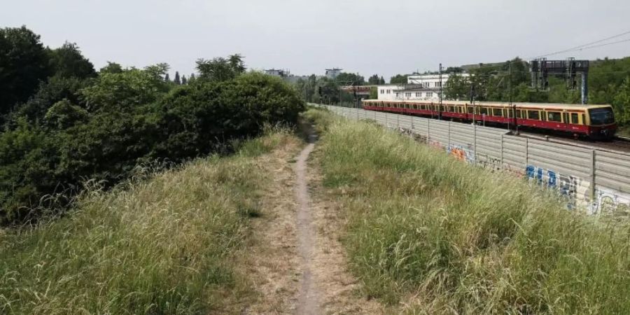 An einen Bahndamm in Pankow wurde die ermordete Frau aufgefunden. Foto: Jörg Carstensen