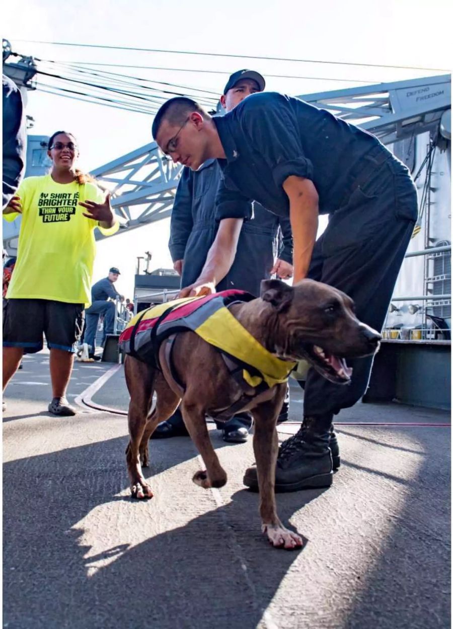 Die zweite Seglerin, Tasha Fuiaba, und ihr Hund Zeus können es kaum glauben, dass sie endlich gerettet werden konnten.