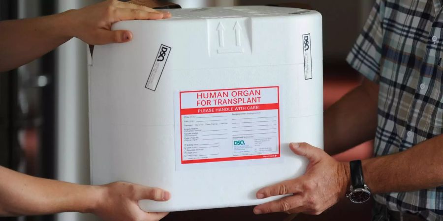 Eine Organtransportbox wird übergeben.