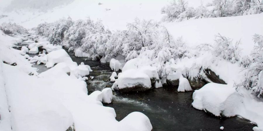 Der Mann starb im Bach. (Symbolbild)