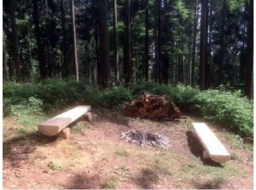 Feuerstelle bei der Blockhütte
