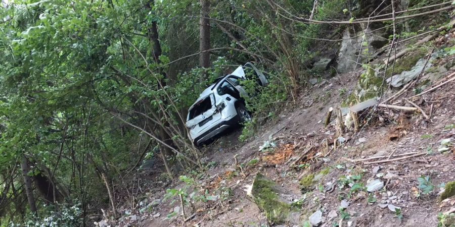 Das Auto mit dem 12-Jährigen Insassen kam im Wald zum Stillstand.